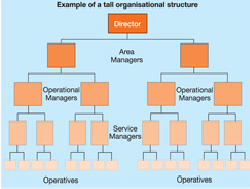 asda organizational structure